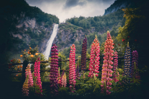 1755658 (a): :2880x1920